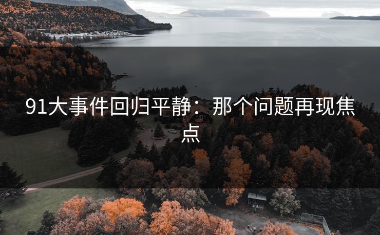 91大事件回归平静：那个问题再现焦点