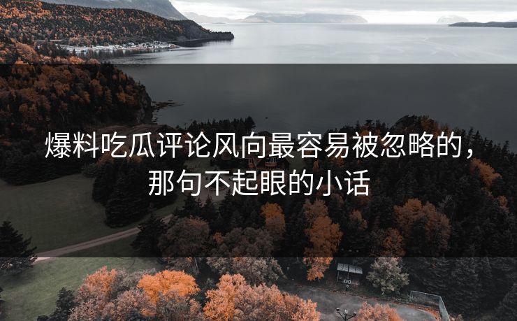 爆料吃瓜评论风向最容易被忽略的，那句不起眼的小话