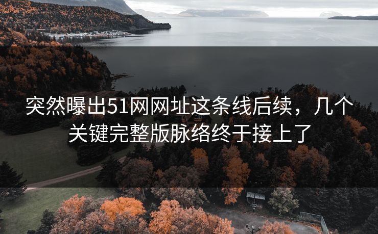突然曝出51网网址这条线后续，几个关键完整版脉络终于接上了