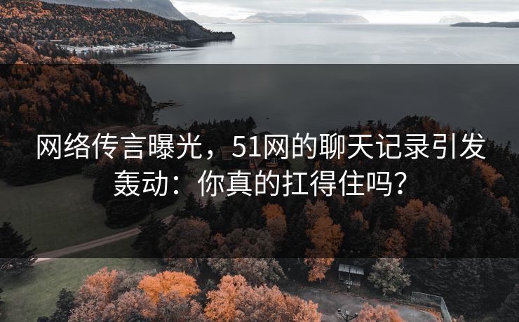 网络传言曝光，51网的聊天记录引发轰动：你真的扛得住吗？