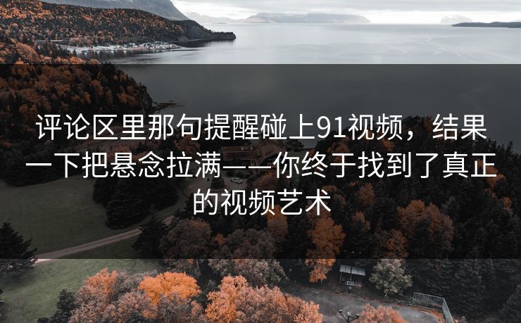 评论区里那句提醒碰上91视频，结果一下把悬念拉满——你终于找到了真正的视频艺术