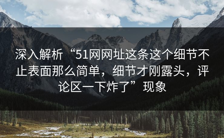 深入解析“51网网址这条这个细节不止表面那么简单，细节才刚露头，评论区一下炸了”现象